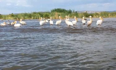5 Day Ethiopia’s Rift Valley honeymoon Tour
